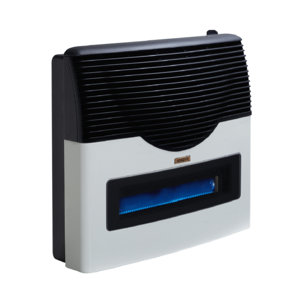 CALEFACTOR LONGVIE EBA5VT 5000 T BALANCEADO VISOR TERMOSTATO ENC 1 MANO