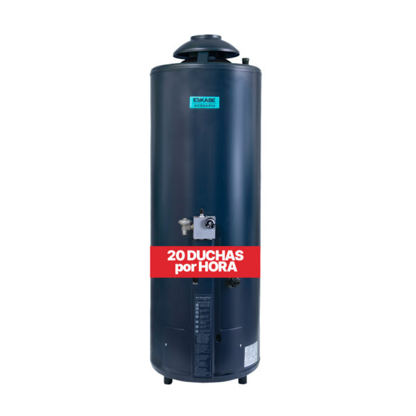TERMOTANQUE ESKABE AQUAPIU A6 1100 L/H SUP SALIDA VERTICAL 5" MULTIGAS