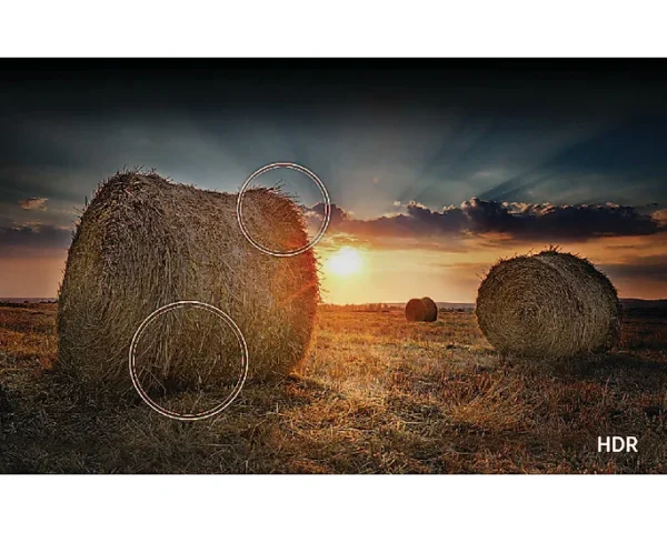 LED SAMSUNG 55" QN55Q65DAGCZB QLED UHD 4K AirSlim - Imagen 6